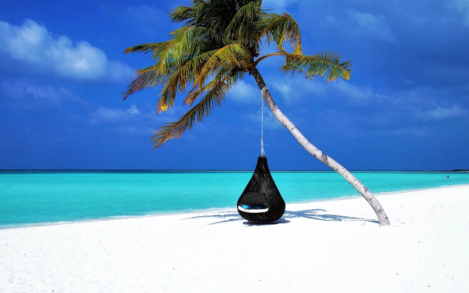 Maldives, palm tree and hammock